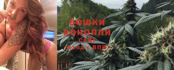 спиды Аркадак