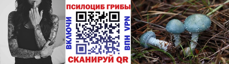 Галлюциногенные грибы Cubensis  Тайга 
