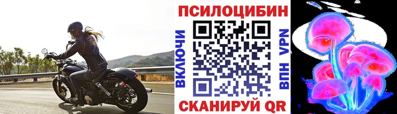 Псилоцибиновые грибы ЛСД Тайга