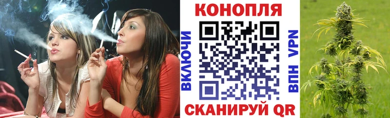 купить   darknet состав  Бошки марихуана тримм  Тайга  кракен ссылки 